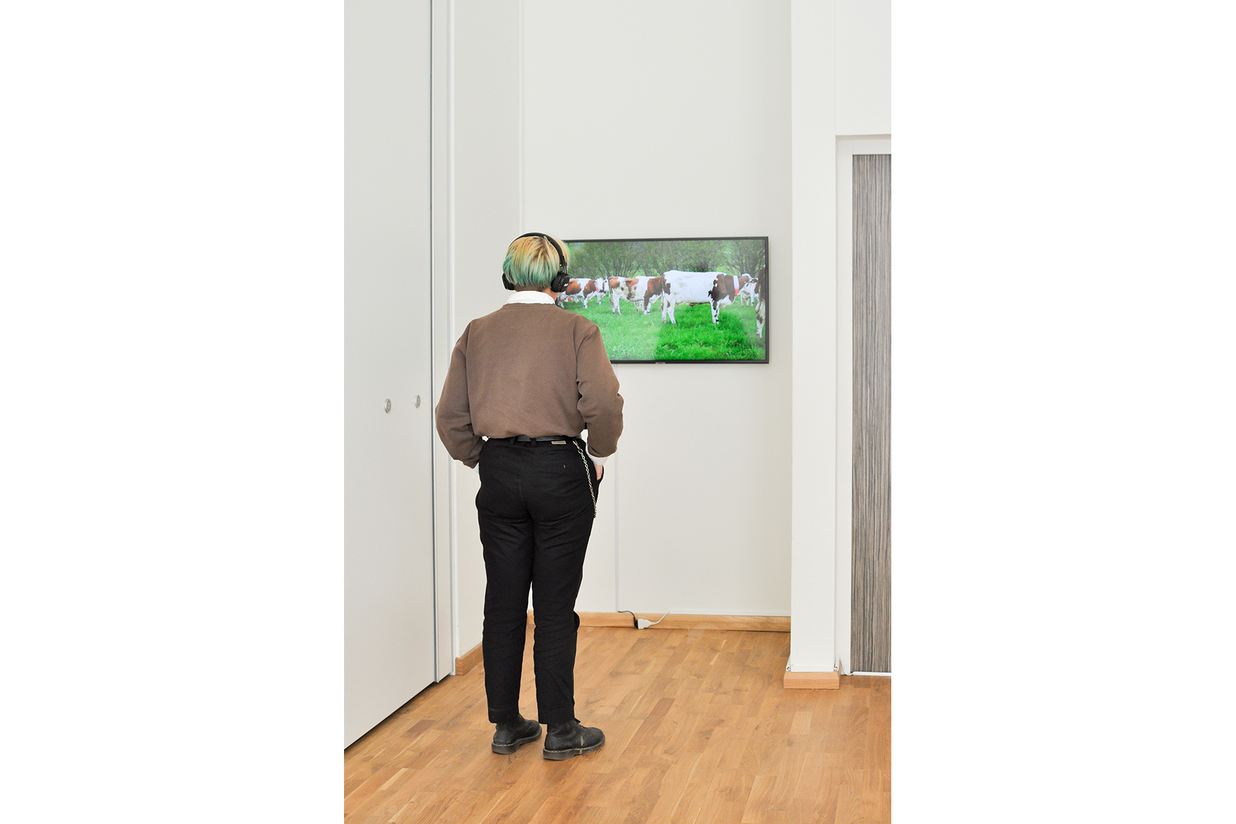 OPJ Cyganek et Julie Poulain, Le troupeau, 2019