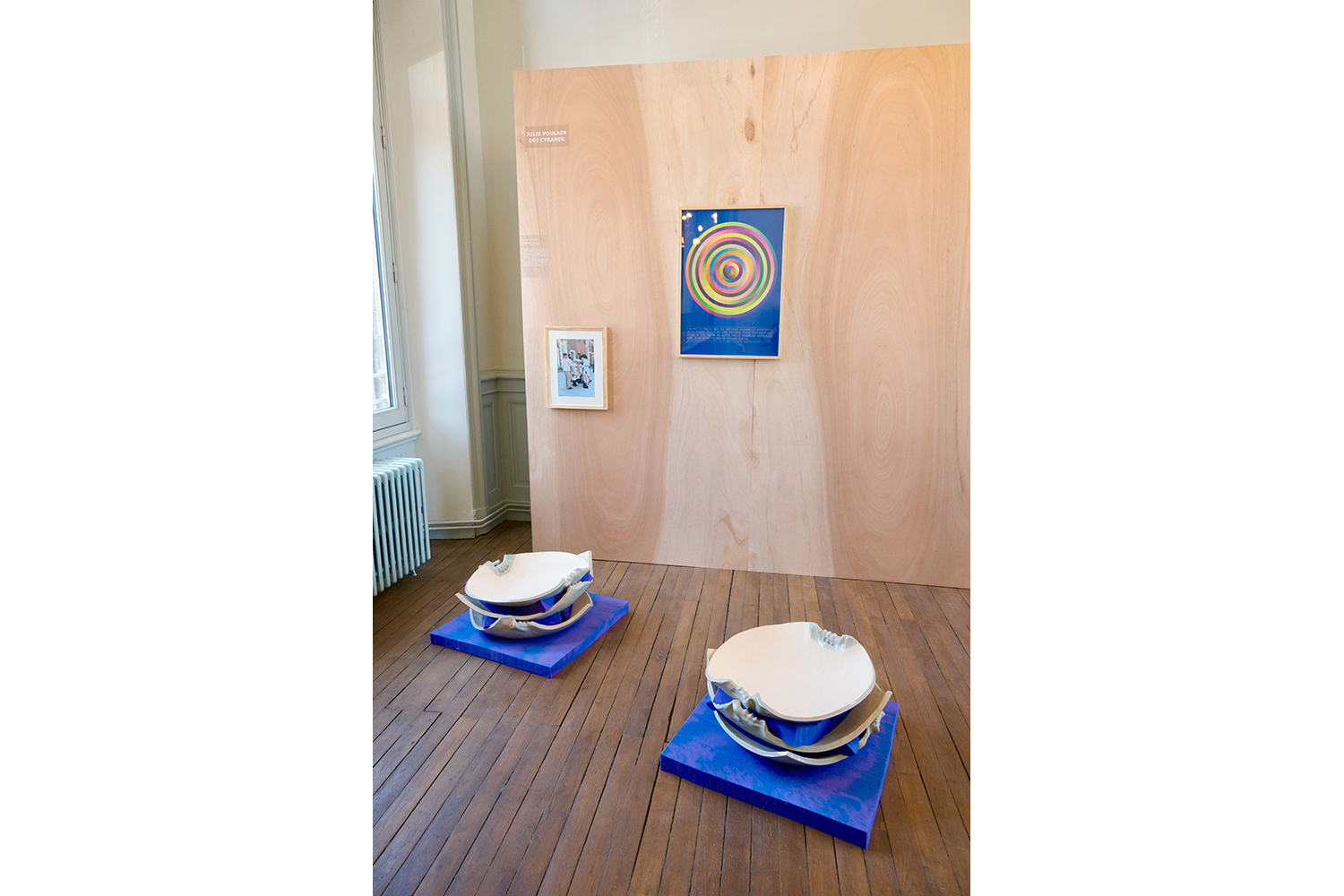 vue du l'exposition Mimésis, Maison de l'habitat et du patrimoine, Saint-Flour